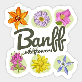 Banff Wildflowers Sticker